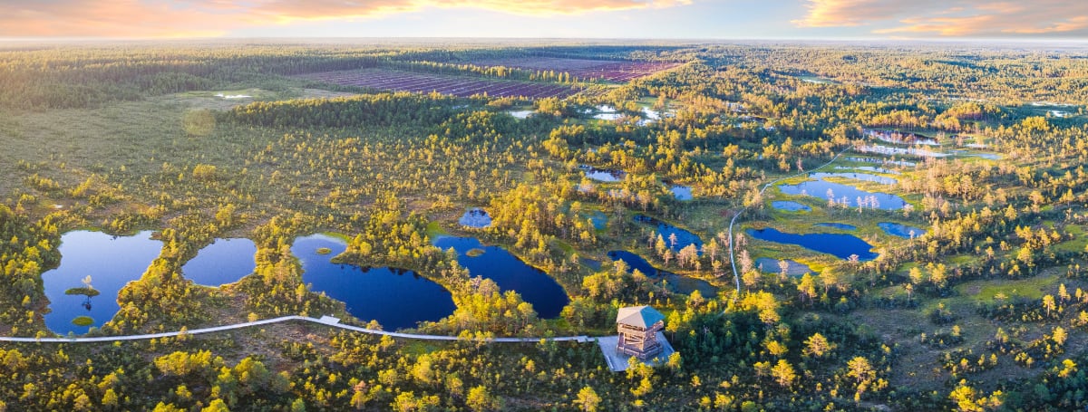 NEO To Establish Europe’s First Rare Earth Facility In Estonia