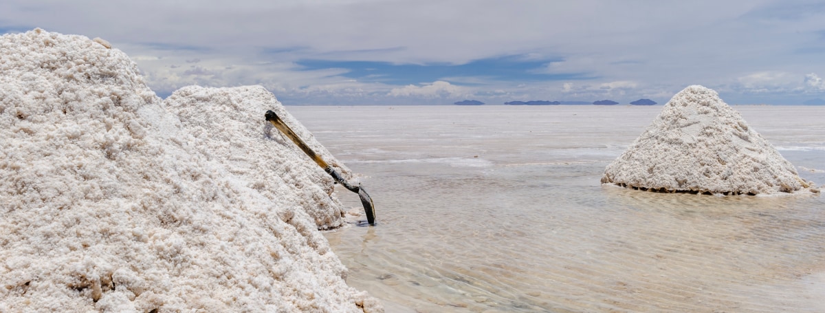 Zijin In Discussions With Camyen To Build A Lithium Plant In Argentina